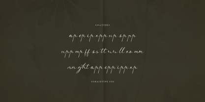 Sentaphira Font Poster 12