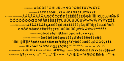 Trakya Sans Font Poster 8