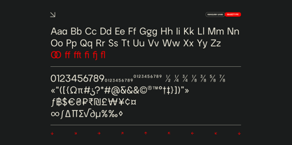 Iwagumi Sans Font Poster 3