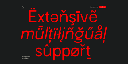 Iwagumi Sans Font Poster 7