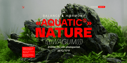 Iwagumi Sans Font Poster 9