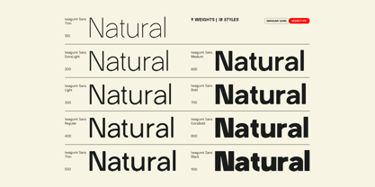 Iwagumi Sans Font Poster 2
