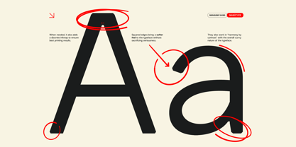 Iwagumi Sans Font Poster 5