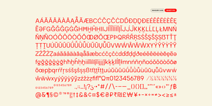 Iwagumi Sans Font Poster 11