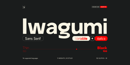 Iwagumi Sans Font Poster 1