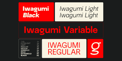 Iwagumi Sans Font Poster 4