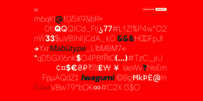 Iwagumi Sans Font Poster 6