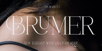 Brumer Font Poster 1