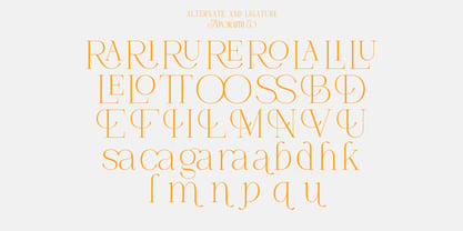Brumer Font Poster 9