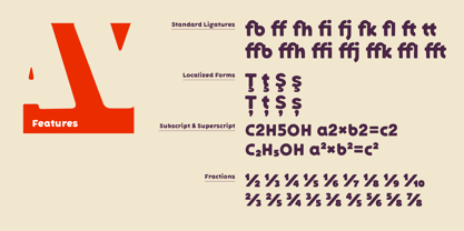 Bakerman Blur Font Poster 9