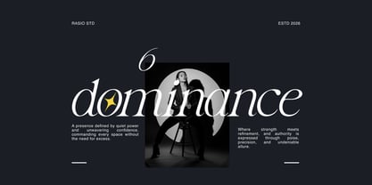 Gavielle Font Poster 5