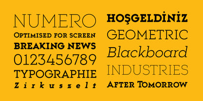 Trakya Slab Font Poster 4