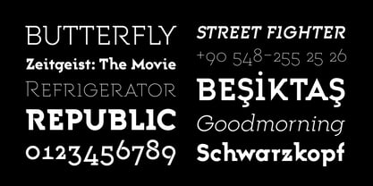 Trakya Slab Font Poster 5