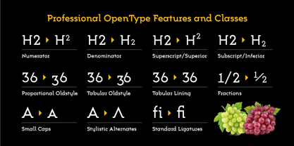 Trakya Slab Font Poster 7