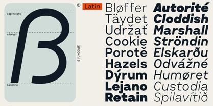 Cluster Font Poster 9