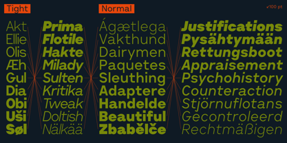 Cluster Font Poster 11