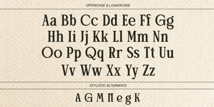 Patcher Font Poster 9