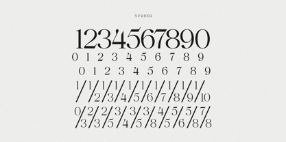 Anglica Serif Font Poster 12