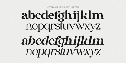 Anglica Serif Font Poster 10