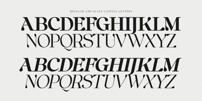 Anglica Serif Font Poster 9