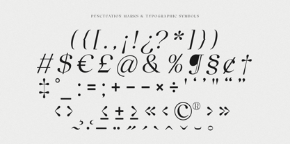Anglica Serif Font Poster 11