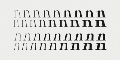 Anglica Serif Font Poster 8