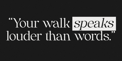 Anglica Serif Font Poster 13
