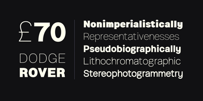 Ingrida Font Poster 8
