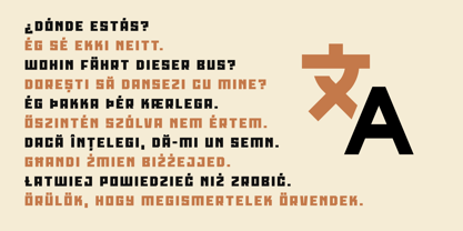 Roana Font Poster 11