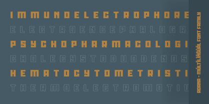 Roana Font Poster 14