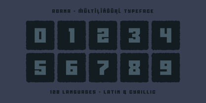 Roana Font Poster 8