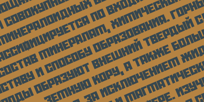 Roana Font Poster 15