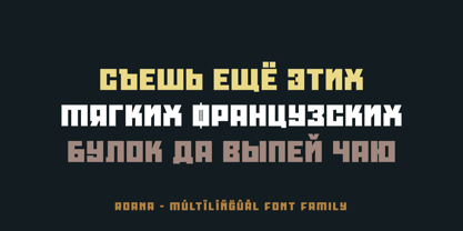 Roana Font Poster 7