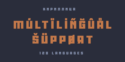 Roana Font Poster 13