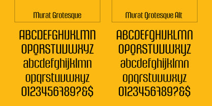 Murat Grotesque Font Poster 5