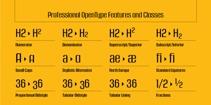 Murat Grotesque Font Poster 10