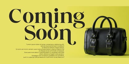 Roleside Font Poster 2