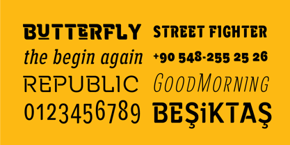 Alaturka Font Poster 8