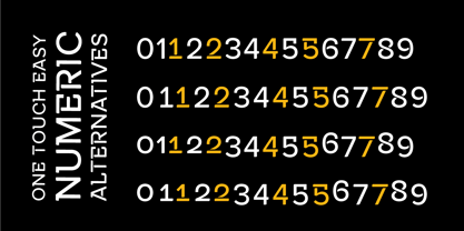 Alaturka Font Poster 10