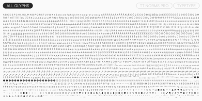 TT Norms Pro Font Poster 10