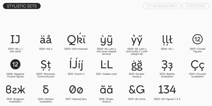 TT Norms Pro Font Poster 14