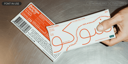TT Norms Pro Font Poster 9