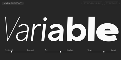 TT Norms Pro Font Poster 5