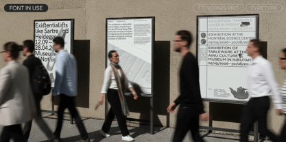 TT Norms Pro Font Poster 6