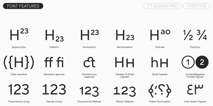TT Norms Pro Font Poster 12