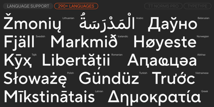 TT Norms Pro Font Poster 7