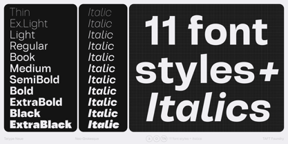 Tatype Neue VF Font Poster 8