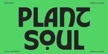 Fleur Porta Font Poster 12