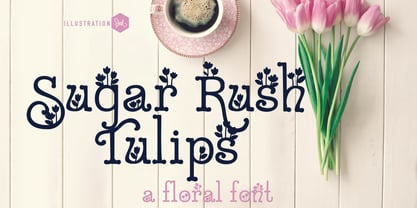 ZP Sugar Rush Font Poster 2