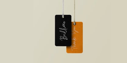 Fisillove Signature Font Poster 7